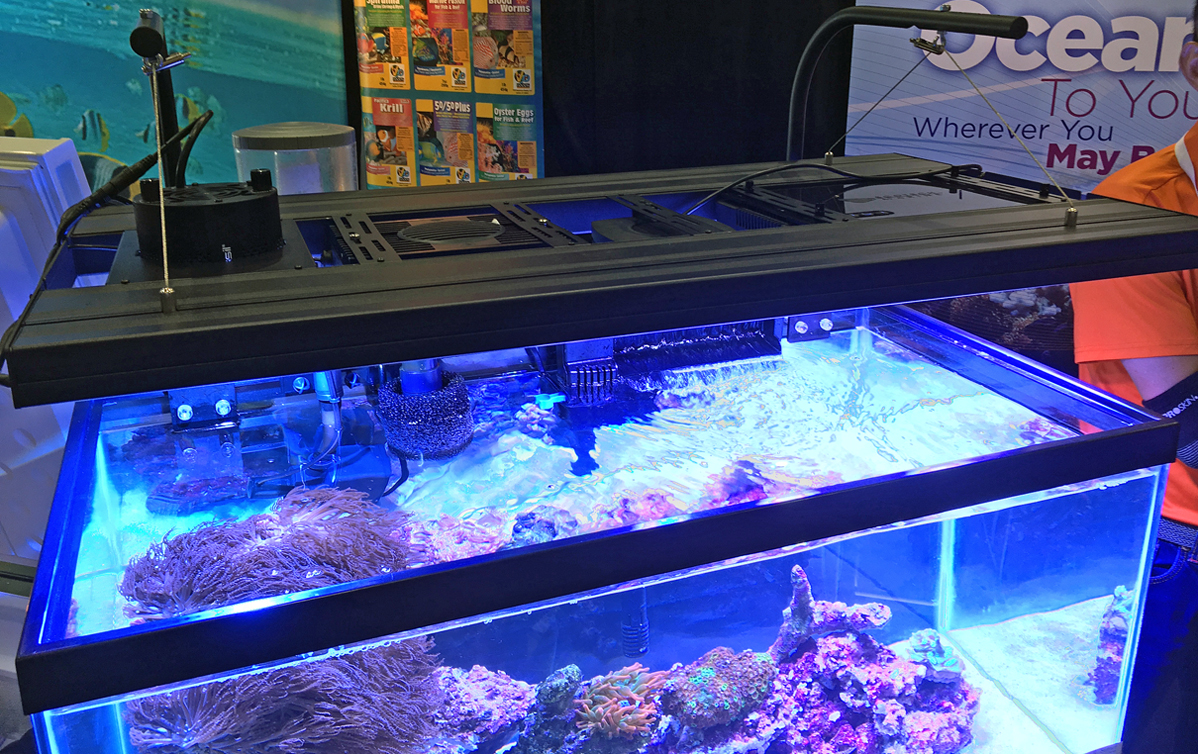 Aquatic Life T5 Ho Led Hybrid 4 Lamp 120 Cm Marine Tip