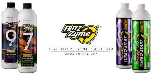 fritz zyme
