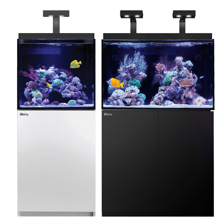 ai hydra 26 hd