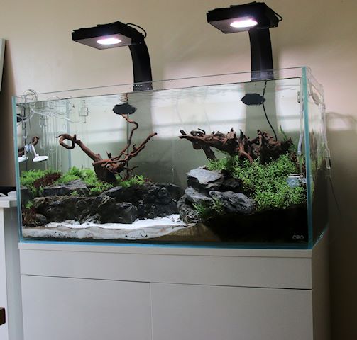 radion led ecotech marine