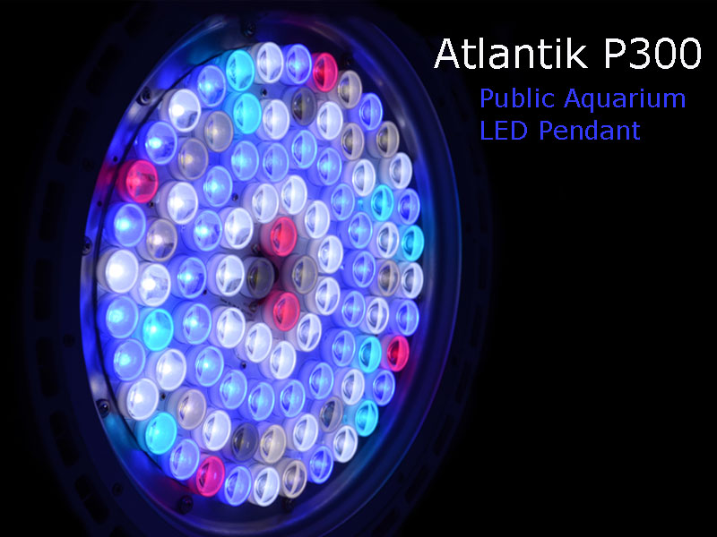 atlantik p300 90 dual