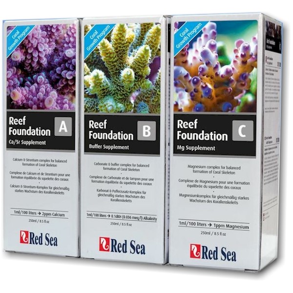red sea reef foundation
