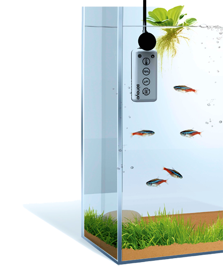 Freshwater aquarium best sale monitor