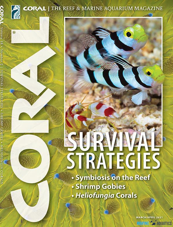 CORAL - Survival Strategies (MAR-APR´21)