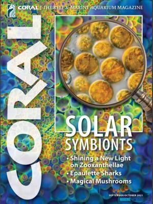 CORAL - Solar Symbionts (SEP-OCT´21)