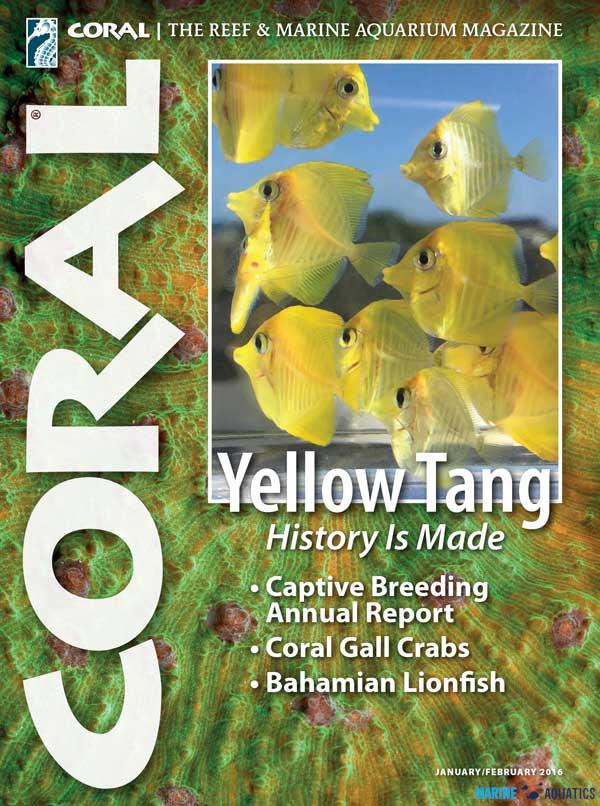 CORAL magazine -