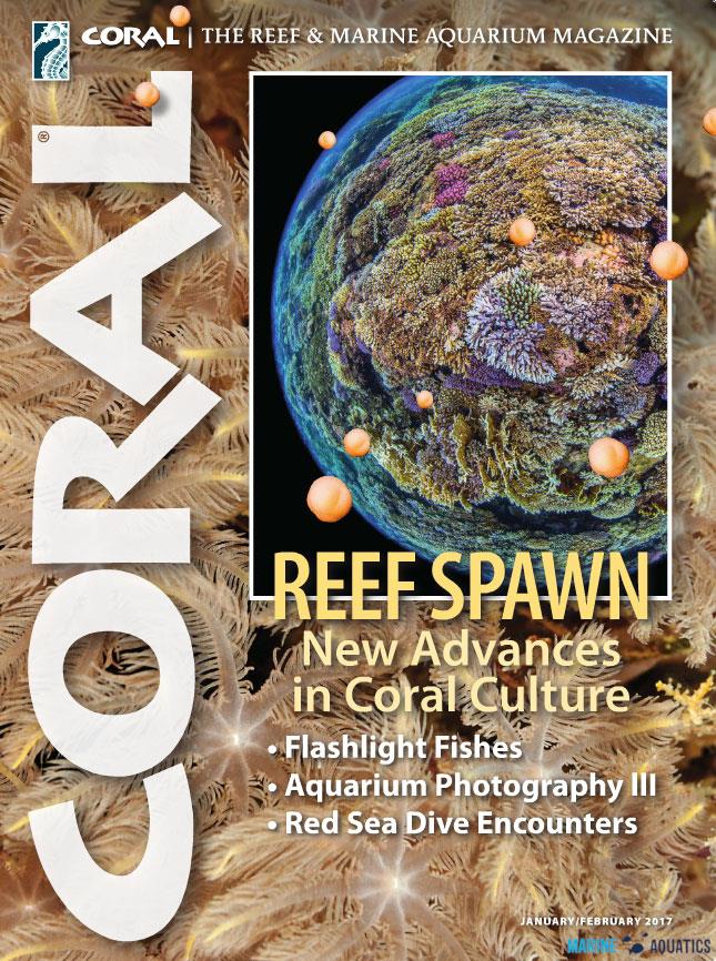 CORAL magazine -