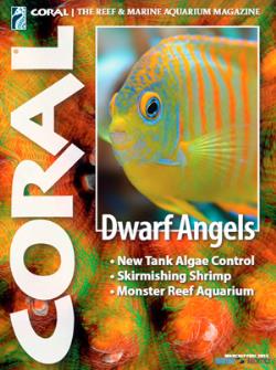 CORAL magazine -