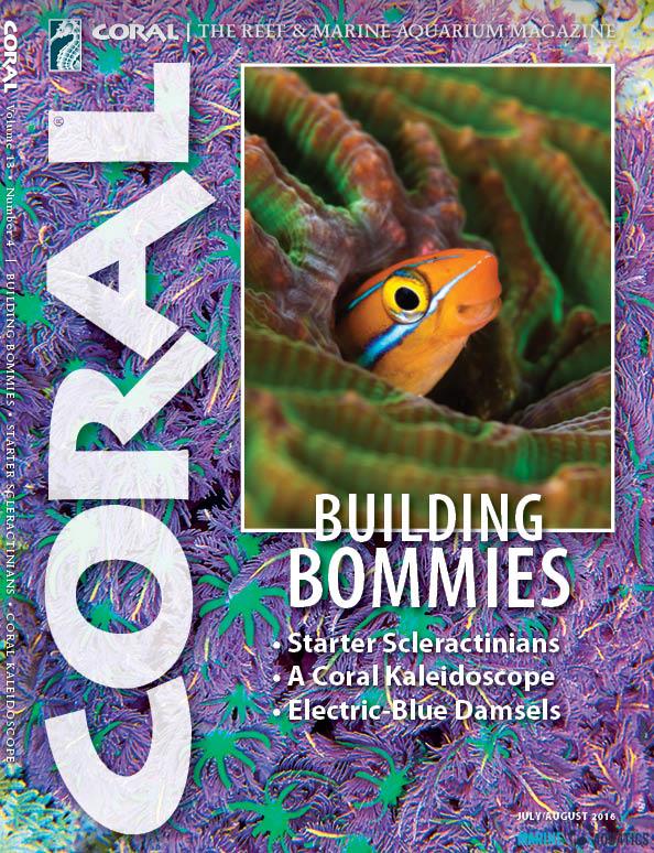 CORAL magazine -