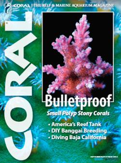 CORAL magazine -