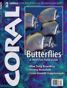 CORAL magazine -