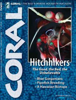 CORAL magazine -