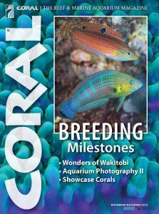 CORAL magazine -