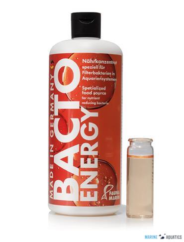 Bacto Energy (500ml)