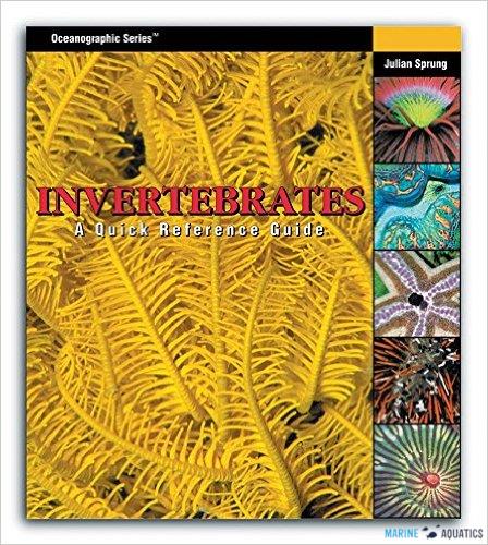 Invertebrates: A quick Reference Guide
