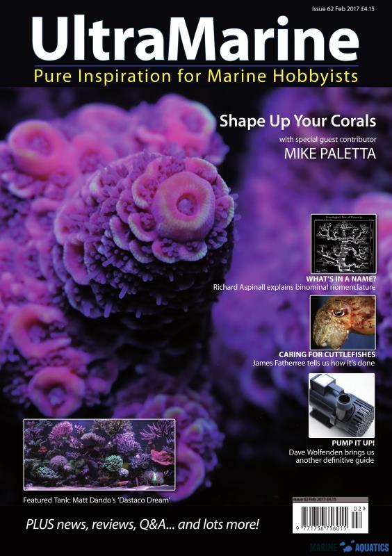 UltraMarine no.62 - Shape your corals (02-03´17)