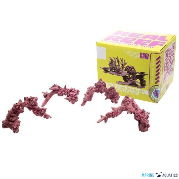 Real Reef FANCY Arches - 4ks