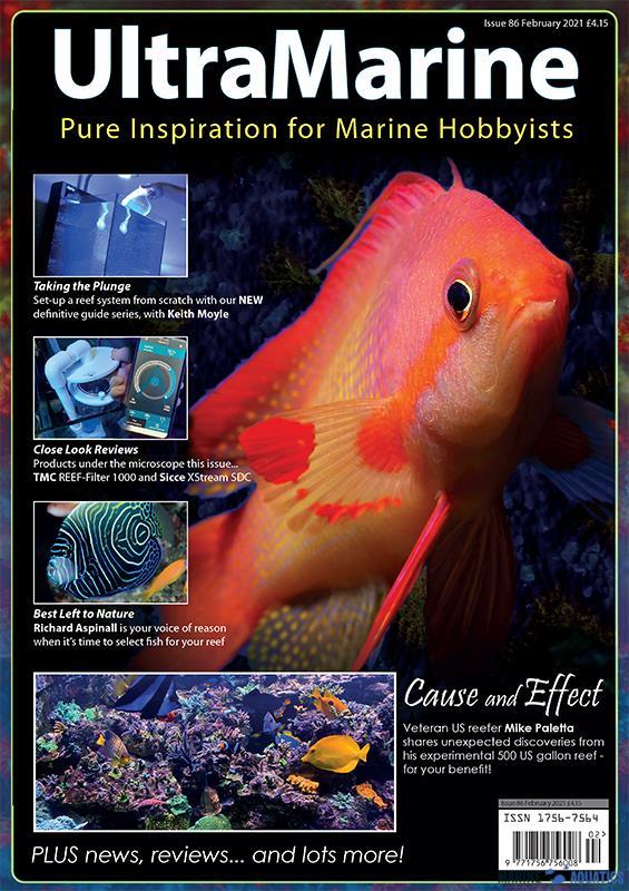 UltraMarine no.86 (FEB´21)