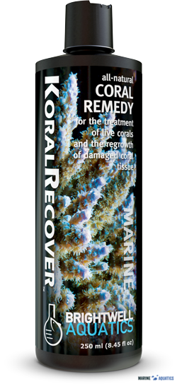 KoralRecover - treats coral diseases (125ml)